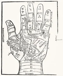 Palmistry